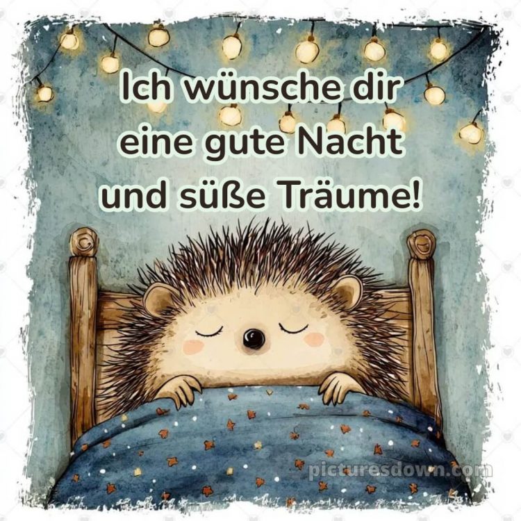 Ich wünsche dir eine gute nacht und süße träume bild Igel kostenlos
