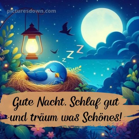 Ich wünsche dir eine gute nacht und süße träume bild Laterne kostenlos