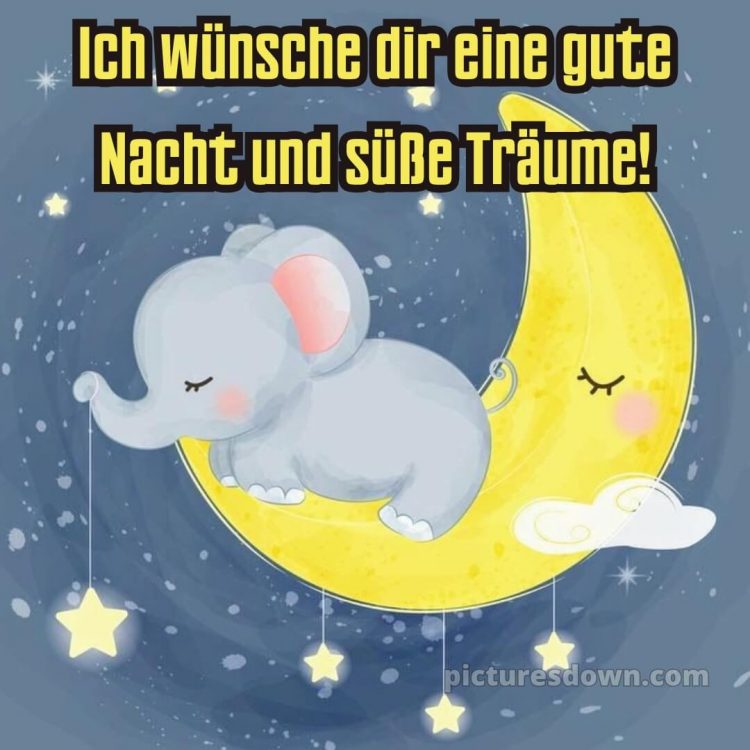 Ich wünsche dir eine gute nacht und süße träume bild Traum kostenlos