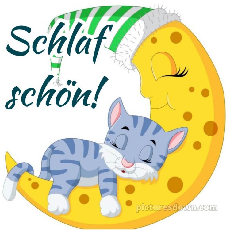 Ich wünsche dir eine gute nacht und süße träume bild Katze kostenlos