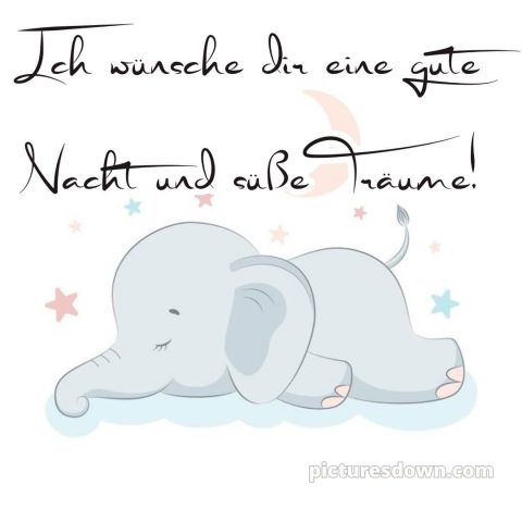 Ich wünsche dir eine gute nacht und süße träume bild Elefant kostenlos