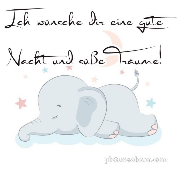 Ich wünsche dir eine gute nacht und süße träume bild Elefant kostenlos