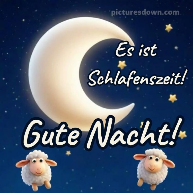 Ich wünsche dir eine gute nacht und süße träume bild Schafe kostenlos