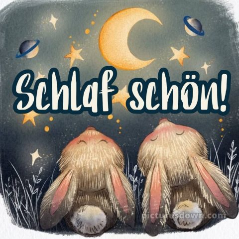 Ich wünsche dir eine gute nacht und süße träume bild Mond kostenlos