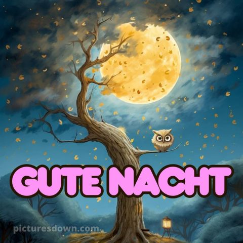 Ich wünsche dir einen schönen abend und später eine gute nacht bild Eule kostenlos