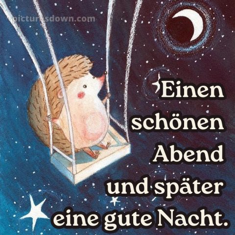 Ich wünsche dir einen schönen abend und später eine gute nacht bild Igel kostenlos