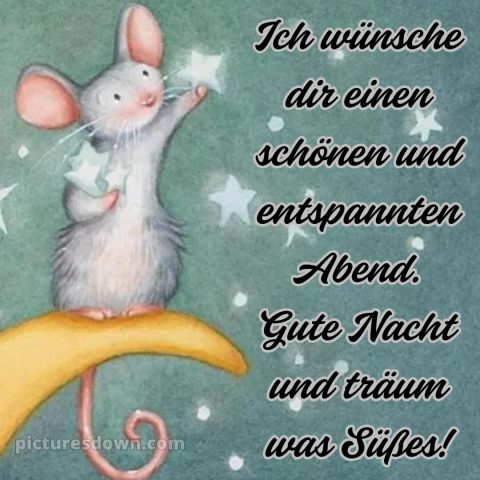 Ich wünsche dir einen schönen abend und später eine gute nacht bild Maus kostenlos