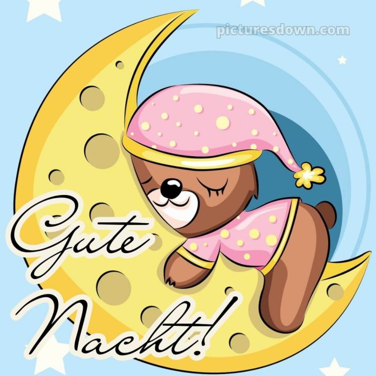 Ich wünsche dir einen schönen abend und später eine gute nacht bild Teddybär kostenlos