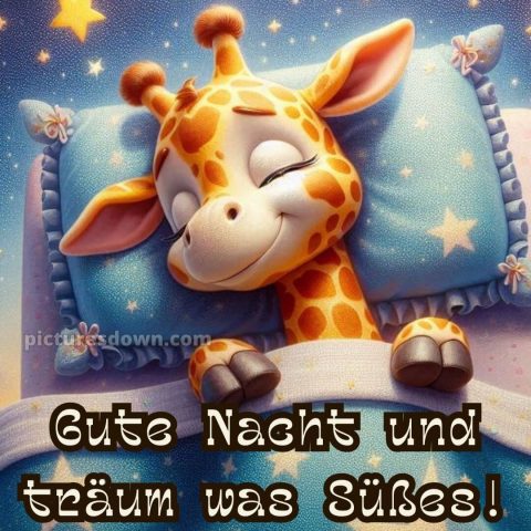 Ich wünsche dir einen schönen abend und später eine gute nacht bild Giraffe kostenlos