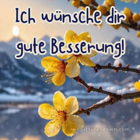 Ich wünsche dir gute besserung bild 1 kostenlos