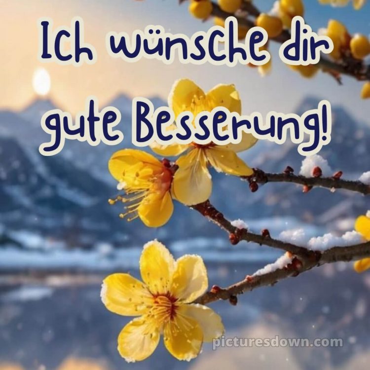 Ich wünsche dir gute besserung bild 1 kostenlos