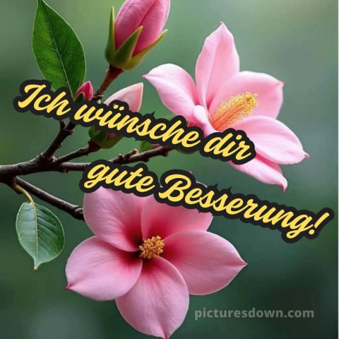 Ich wünsche dir gute besserung bild 11 kostenlos