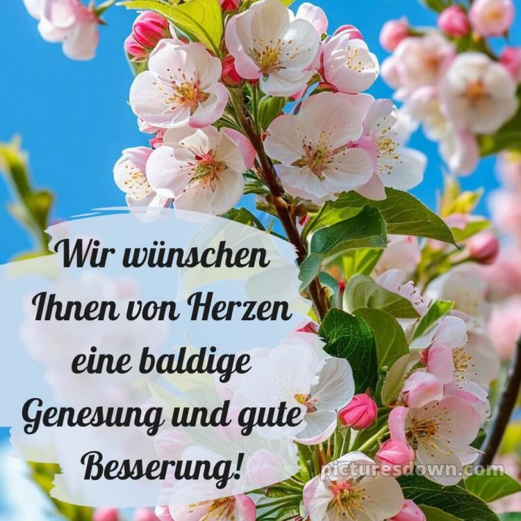Ich wünsche dir gute besserung bild 12 kostenlos