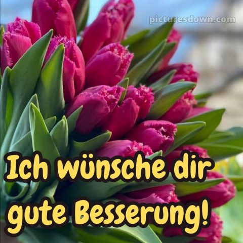Ich wünsche dir gute besserung bild 3 kostenlos
