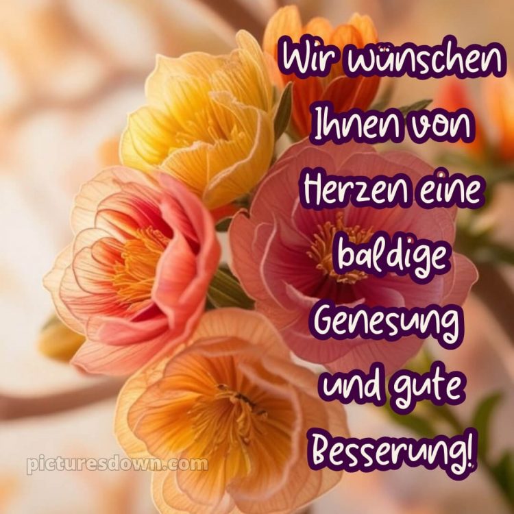 Ich wünsche dir gute besserung bild 4 kostenlos