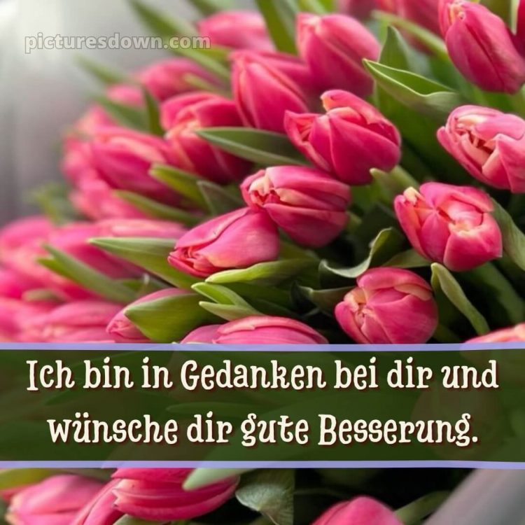 Ich wünsche dir gute besserung bild 7 kostenlos