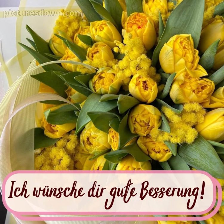 Ich wünsche dir gute besserung bild 9 kostenlos