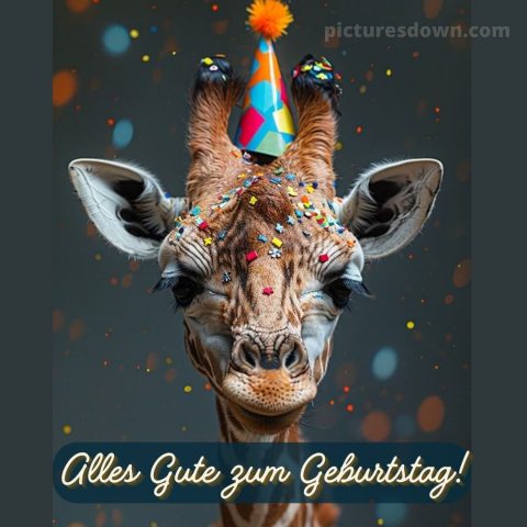 Lustig alles gute zum geburtstag bild Giraffe kostenlos