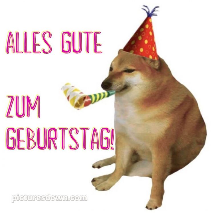 Lustig alles gute zum geburtstag bild Hund kostenlos