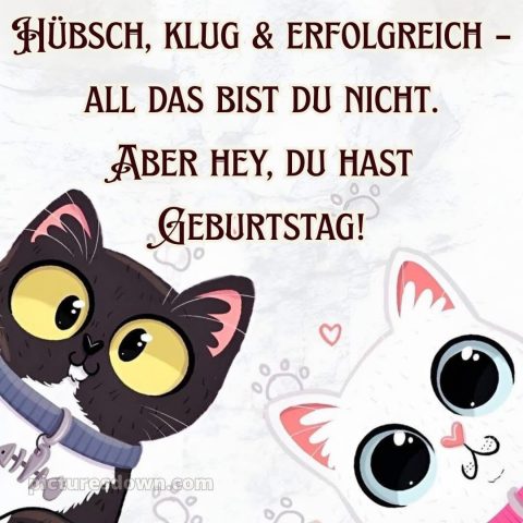 Lustig alles gute zum geburtstag bild Katzen kostenlos
