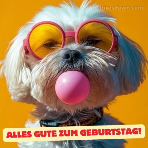 Lustig alles gute zum geburtstag bild Gummi kostenlos