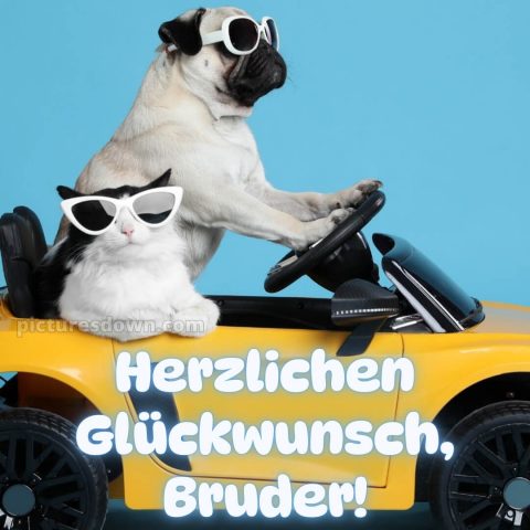 Alles gute zum geburtstag bruder lustig bild Auto kostenlos