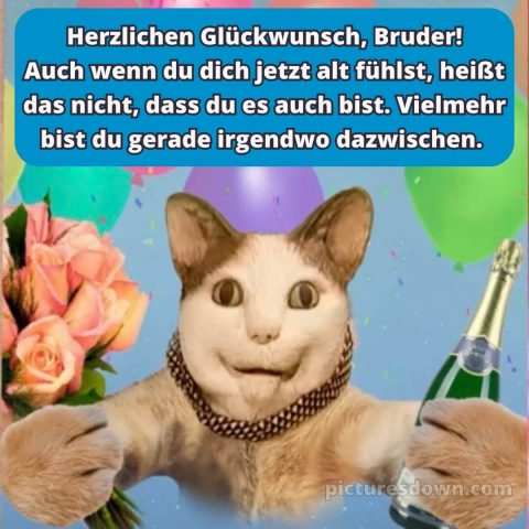 Alles gute zum geburtstag bruder lustig bild Katze kostenlos