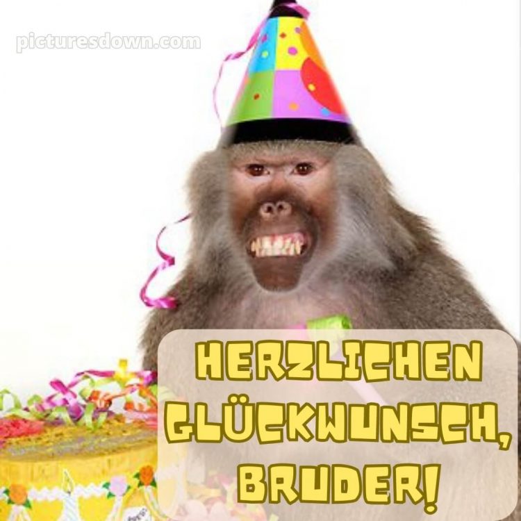 Alles gute zum geburtstag bruder lustig bild Affen kostenlos