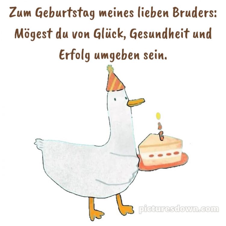 Alles gute zum geburtstag bruder lustig bild Gans kostenlos