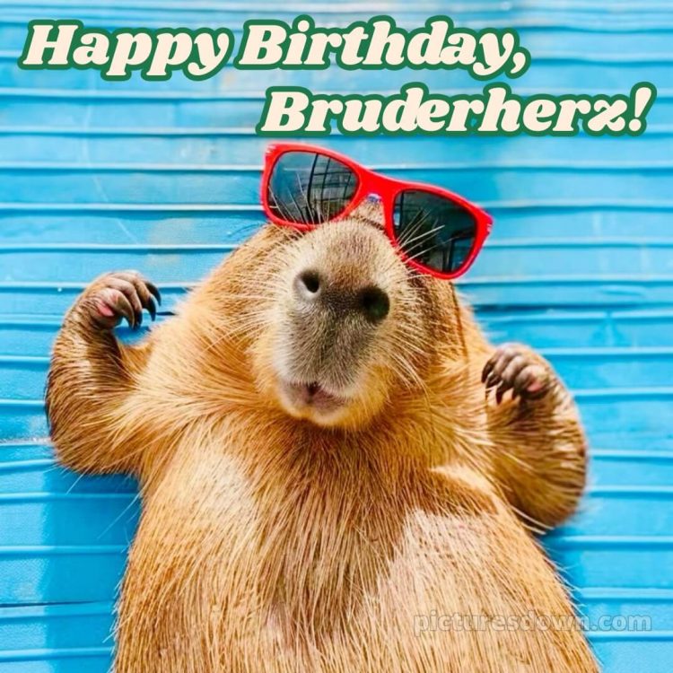 Alles gute zum geburtstag bruder lustig bild Wasserschwein kostenlos