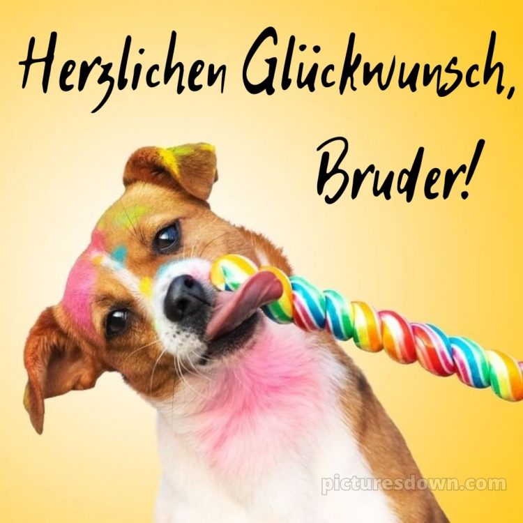 Alles gute zum geburtstag bruder lustig bild Süßigkeiten kostenlos
