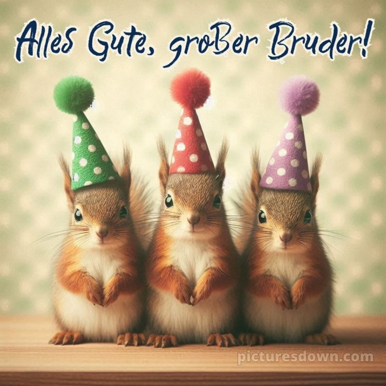 Alles gute zum geburtstag bruder lustig bild drei Eichhörnchen kostenlos
