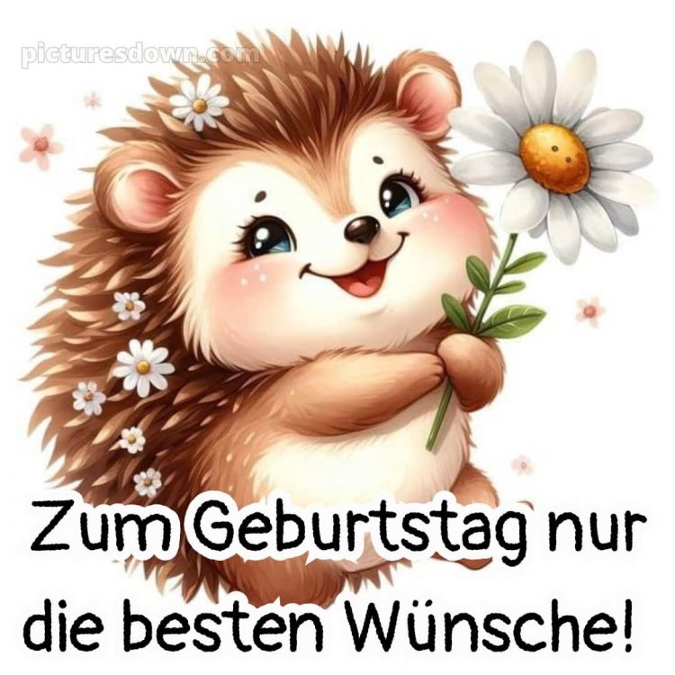 Alles gute zum geburtstag gif lustig bild Igel kostenlos