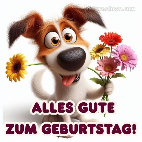 Alles gute zum geburtstag gif lustig bild Blumenstrauß kostenlos