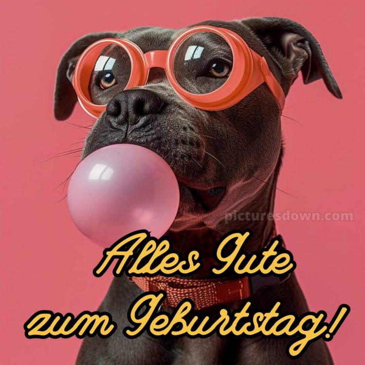 Alles gute zum geburtstag gif lustig bild Gummi kostenlos