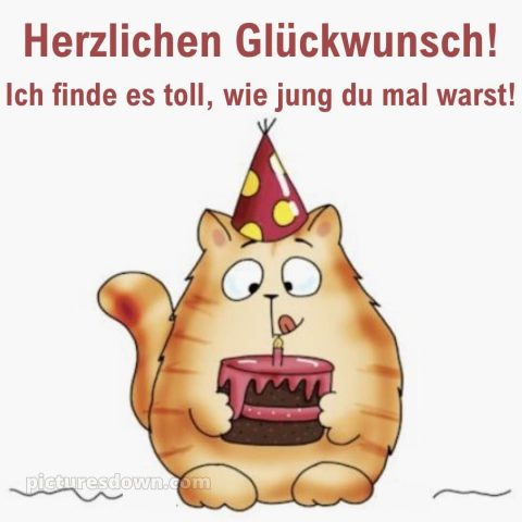 Alles gute zum geburtstag gif lustig bild Katze kostenlos