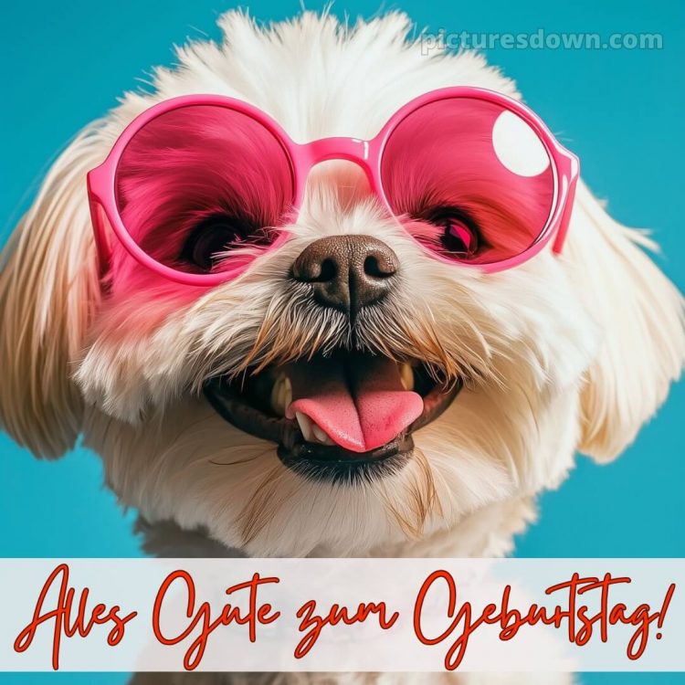 Alles gute zum geburtstag gif lustig bild Brille kostenlos