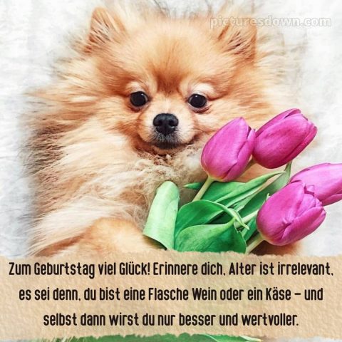 Alles gute zum geburtstag lustig frau bild 4 kostenlos