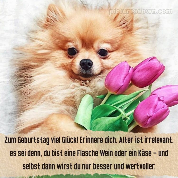 Alles gute zum geburtstag lustig frau bild 4 kostenlos