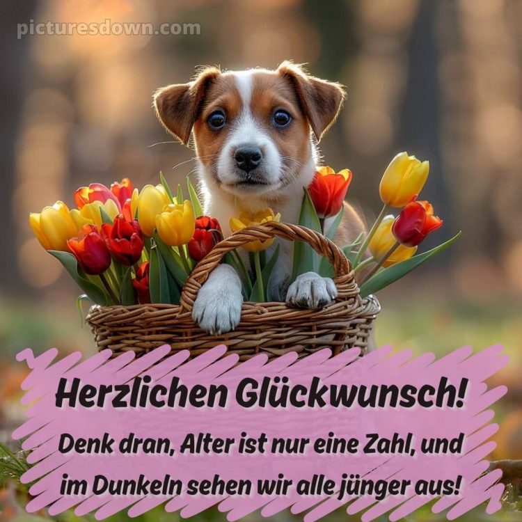 Alles gute zum geburtstag lustig frau bild 8 kostenlos