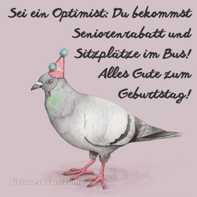 Alles gute zum geburtstag lustig mann bild Taube kostenlos