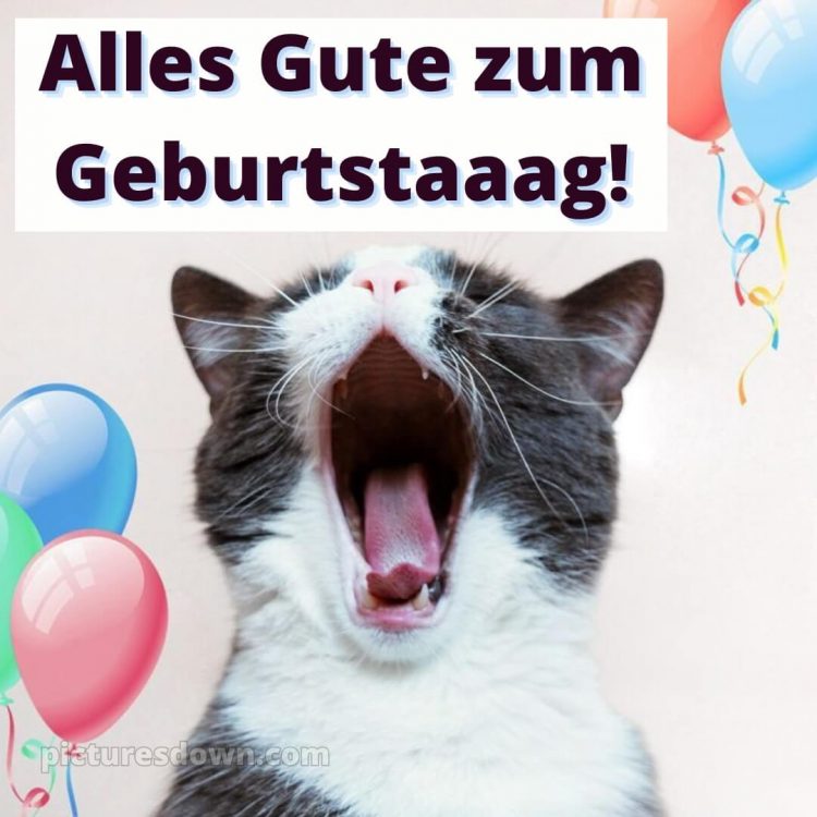 Alles gute zum geburtstag lustig mann bild Gähnen kostenlos