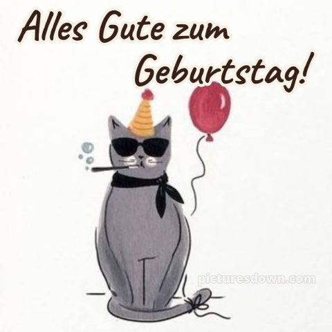 Alles gute zum geburtstag männer lustig bild Katze kostenlos