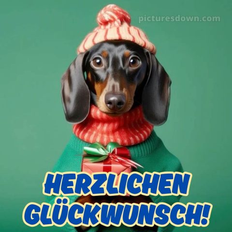 Alles gute zum geburtstag mann lustig bild Hund kostenlos