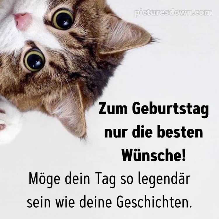 Alles gute zum geburtstag mann lustig bild Katze kostenlos