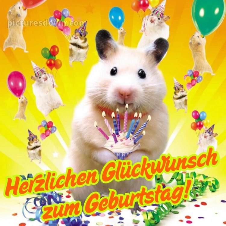 Alles gute zum geburtstag mann lustig bild Hamster kostenlos