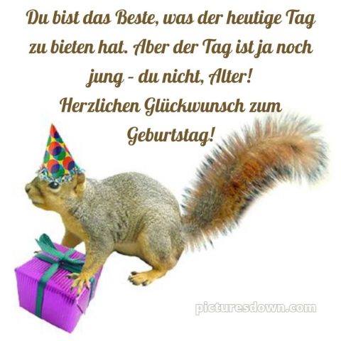 Alles gute zum geburtstag mann lustig bild Eichhörnchen kostenlos