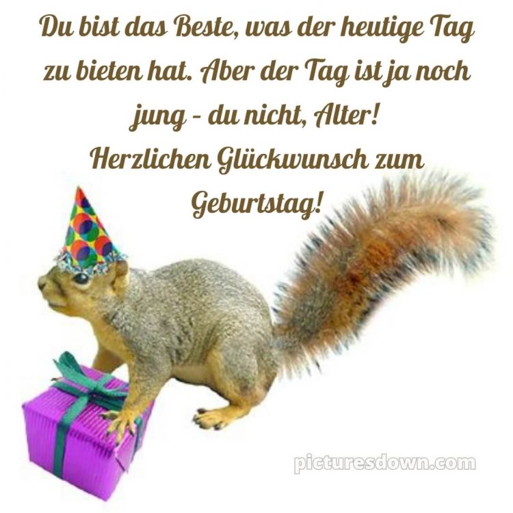 Alles gute zum geburtstag mann lustig bild Eichhörnchen kostenlos