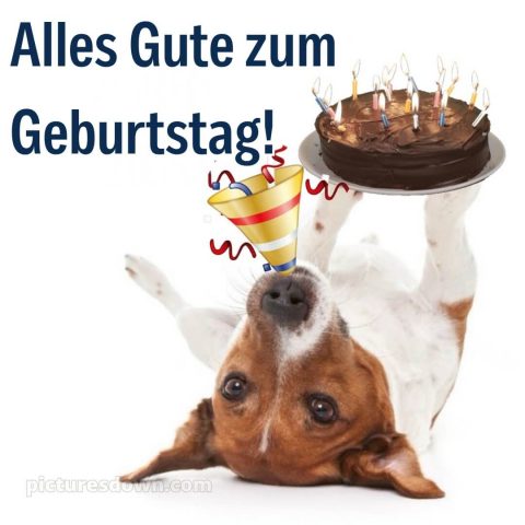 Alles gute zum geburtstag mann lustig bild Kerzen kostenlos