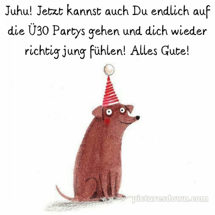 Alles gute zum geburtstag text lustig bild Hund kostenlos